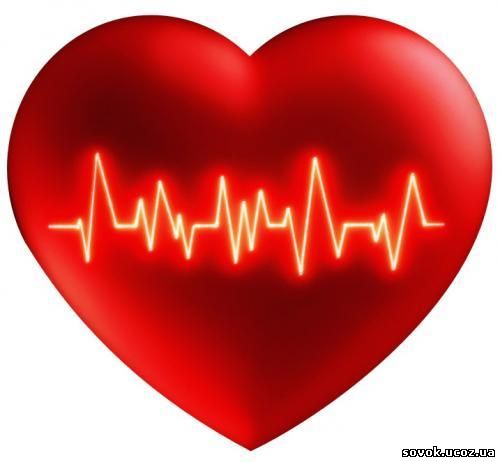 Как предотвратить сердечные болезни